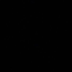 Meet your Posher, Lacey